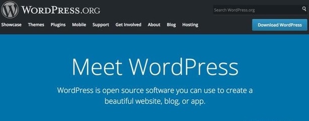 為什么我選擇 WordPress 來建站？深入解析 9 大核心理由
